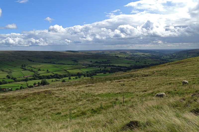 DSC02990