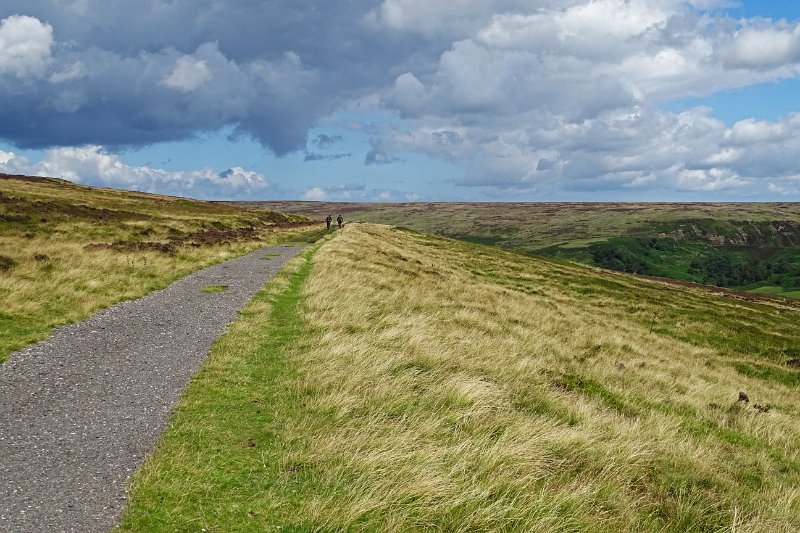 DSC02994