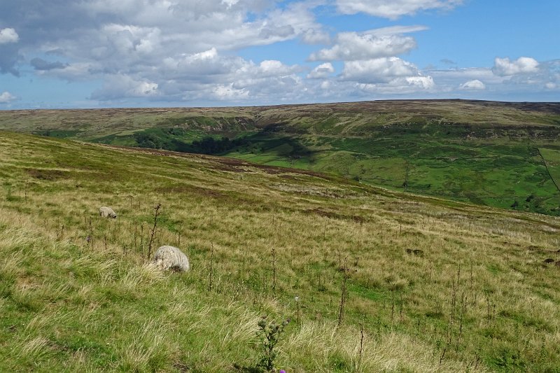 DSC03003