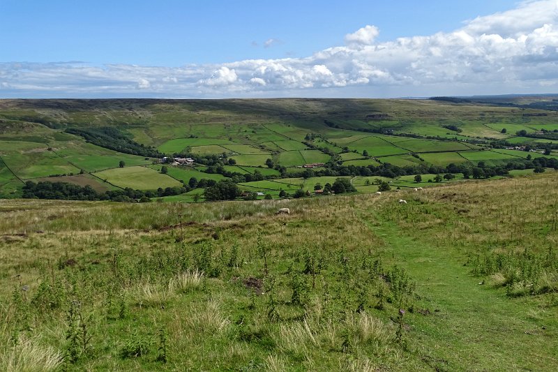 DSC03009
