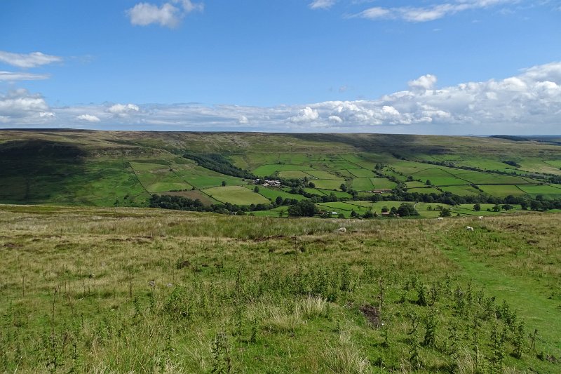 DSC03012
