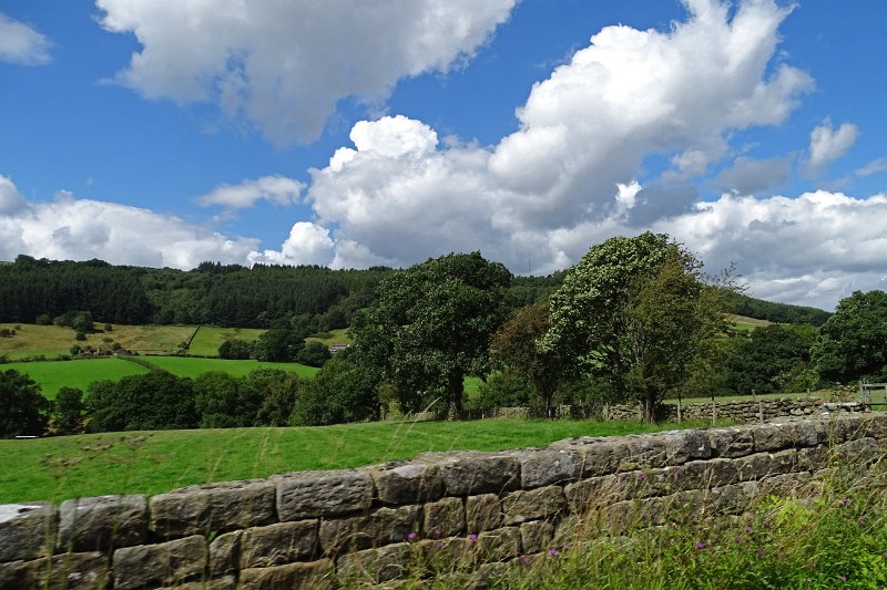 DSC03033