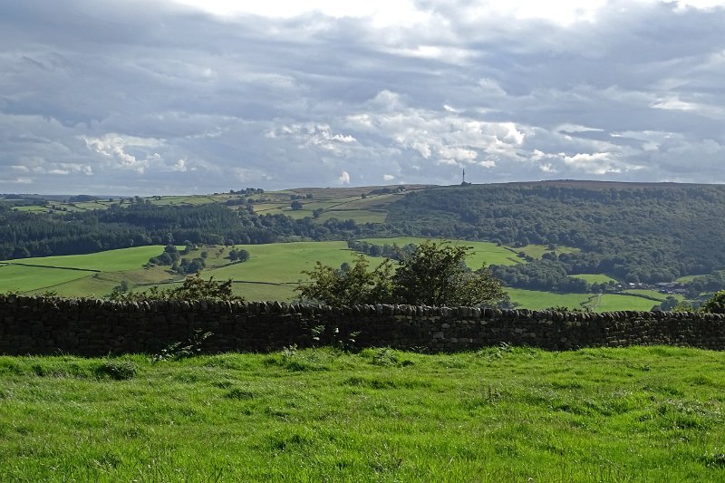DSC03174