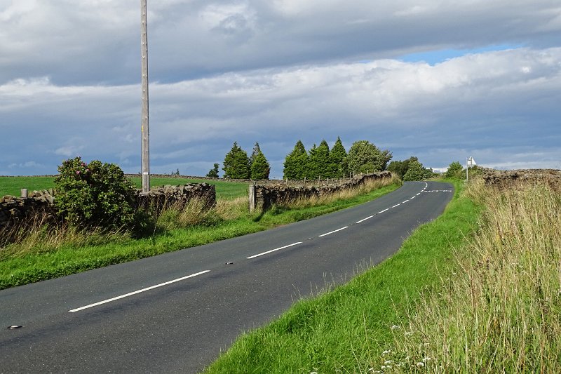 DSC03178