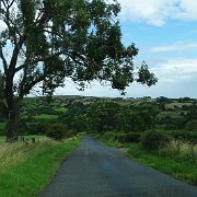 DSC02902