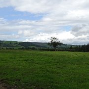 DSC02910