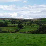 DSC02914