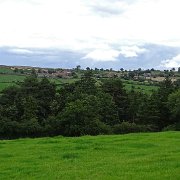 DSC02915