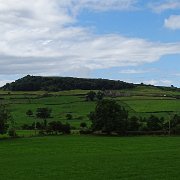 DSC02919