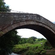 DSC02921