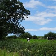 DSC02927