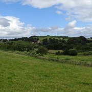 DSC02931