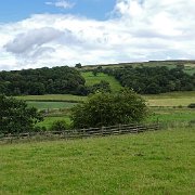 DSC02932