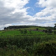 DSC02936