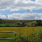 DSC02938
