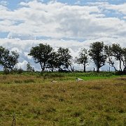 DSC02953