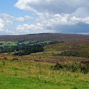 DSC02956