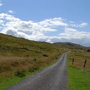 DSC02958