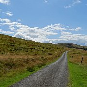 DSC02959