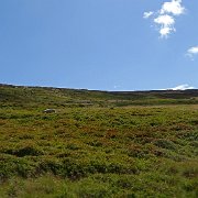 DSC02969