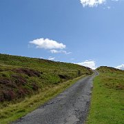 DSC02973