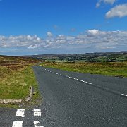 DSC02974