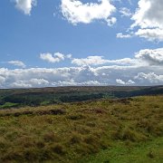 DSC02975