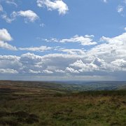 DSC02978