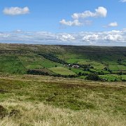 DSC02989