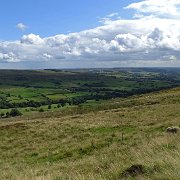 DSC02990