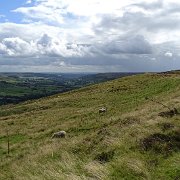 DSC02991