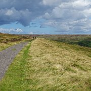 DSC02994