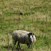 DSC03004