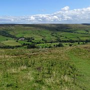 DSC03009