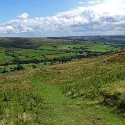 DSC03010