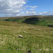 DSC03011