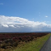 DSC03020