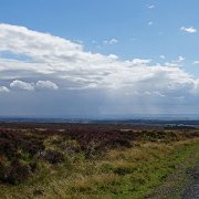 DSC03021