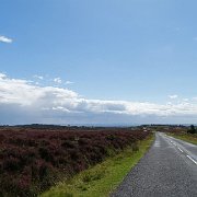 DSC03025