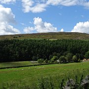 DSC03029