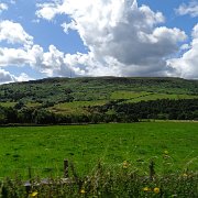 DSC03036