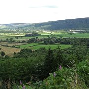 DSC03044