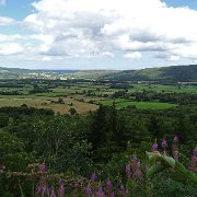 DSC03047