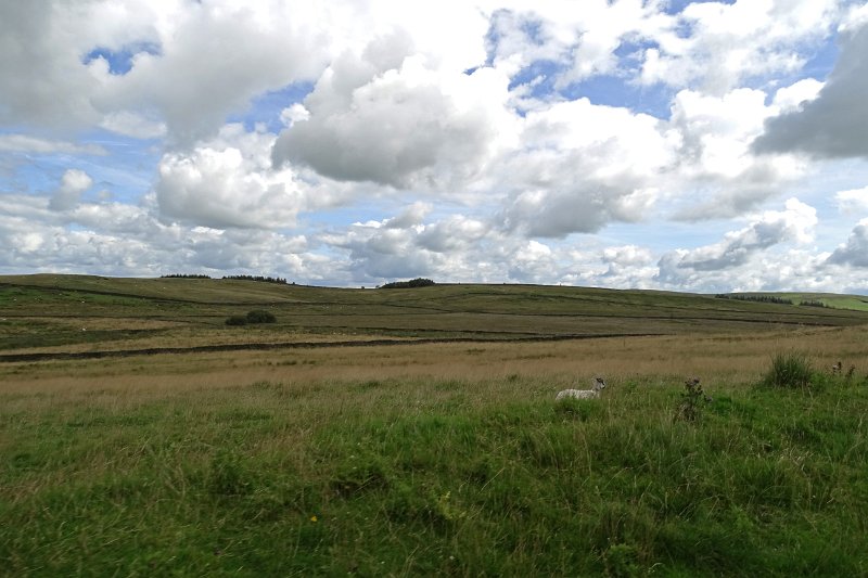 DSC04099