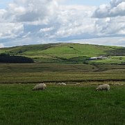 DSC04086