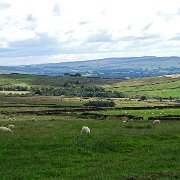 DSC04087