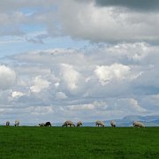 DSC04094