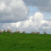 DSC04095