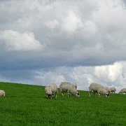 DSC04097