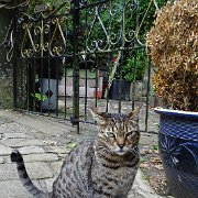 DSC04160